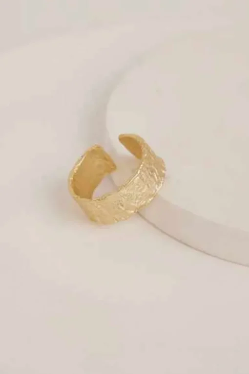 Ari Ring