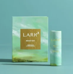 BEACH DAY SOLID PERFUME