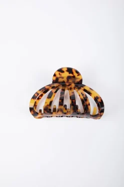 Clam Hair Claw - Amber Animal