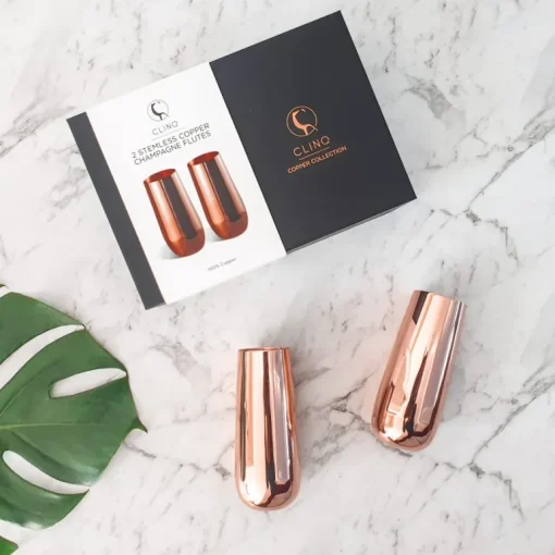 Copper Stemless Champagne Flutes