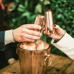 Copper Stemless Champagne Flutes