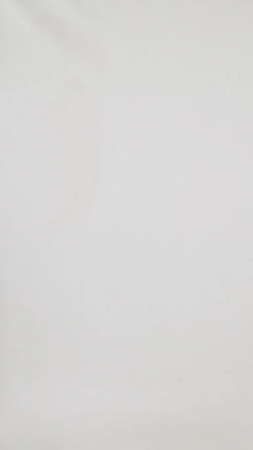 Elm - Fundamental Rib L/S Tee - White - Womens Fashion