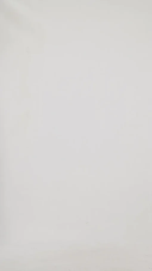 Elm - Rickety Pant - Black - Womens Fashion