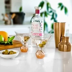 Stemless Martini Glass